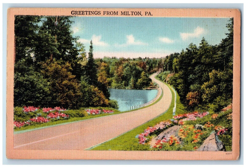 1940 Greetings From Road River Lake Milton Pennsylvania Vintage Antique Postcard