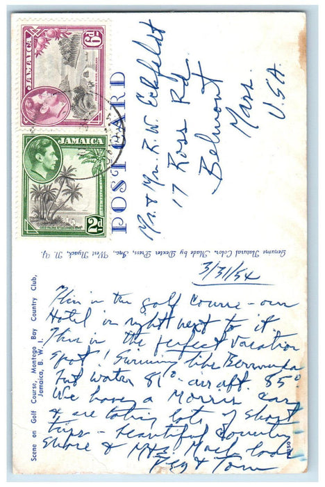 1954 Scene on Golf Course Montego Bay Country Club Jamaica BWI Postcard