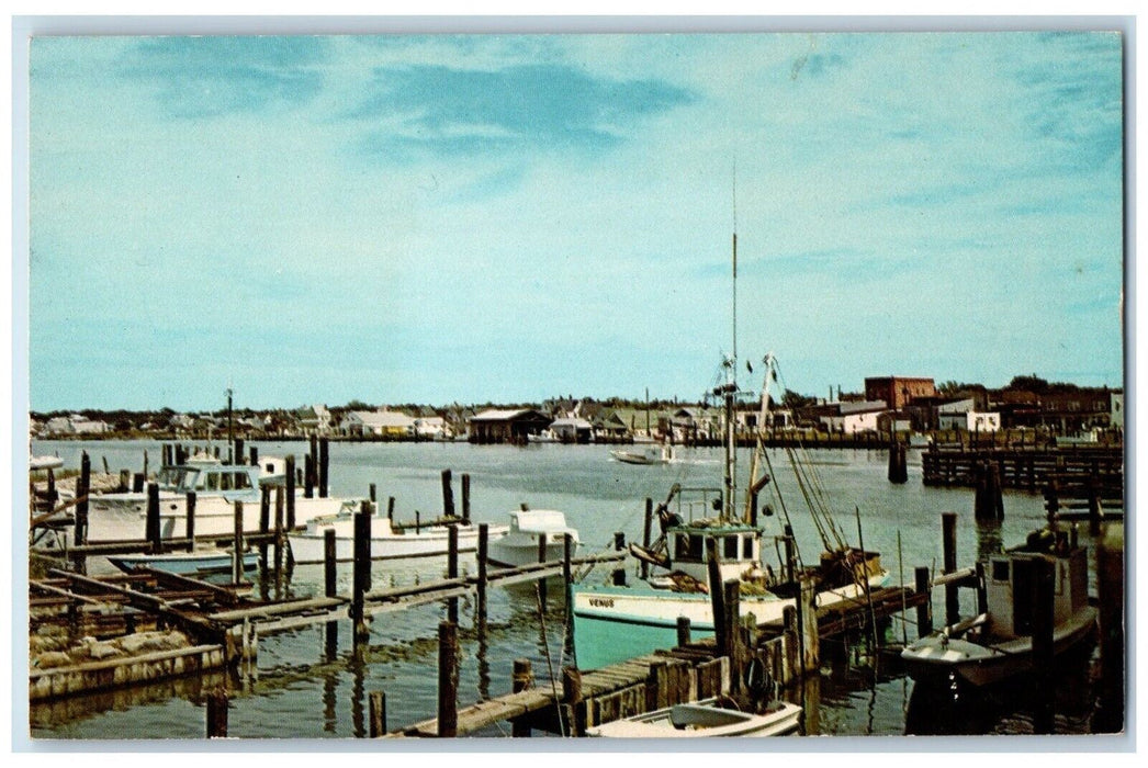 c1960 Chincoteague Harbor Port Dock Lake Chincoteague island Virginia Postcard