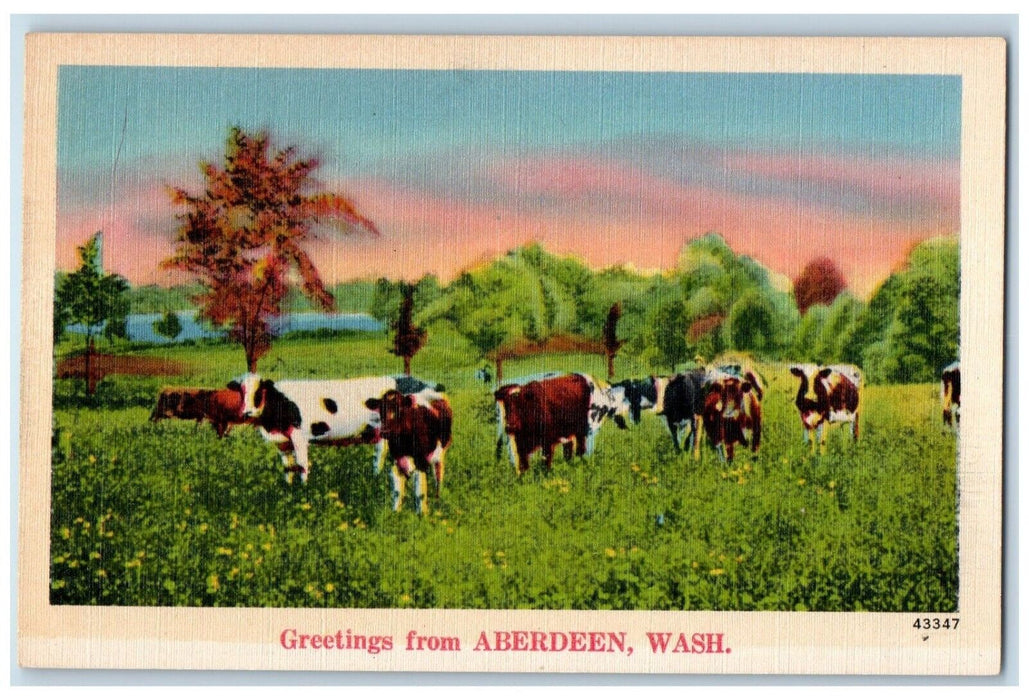 c1940 Greetings From Aberdeen Washington Animals Cows Vintage Antique Postcard