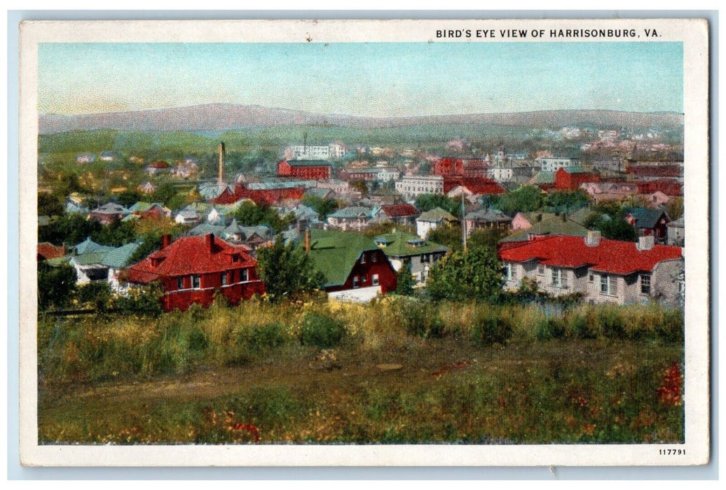 c1920 Birds Eye View Houses Harrisonburg Virginia VA Vintage Antique Postcard