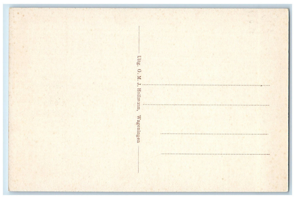 c1940's Hotel Wageningsche Wageningen Gelderland Province Netherlands Postcard