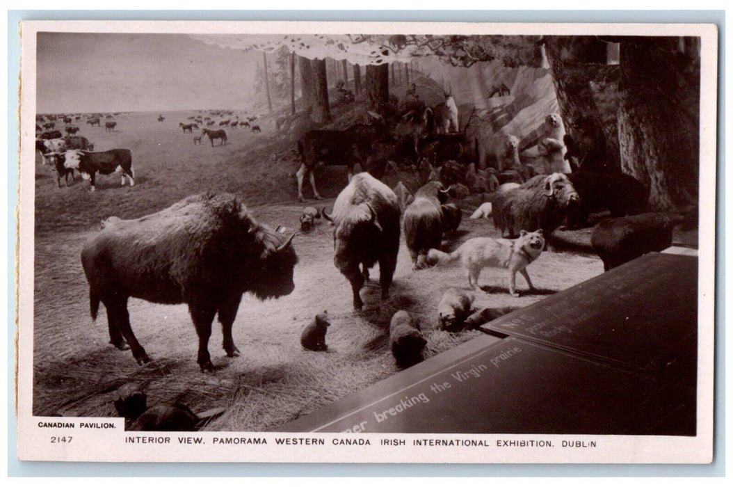 Panama Western Canada Irish International Exhibition Dublin RPPC Photo Postcard