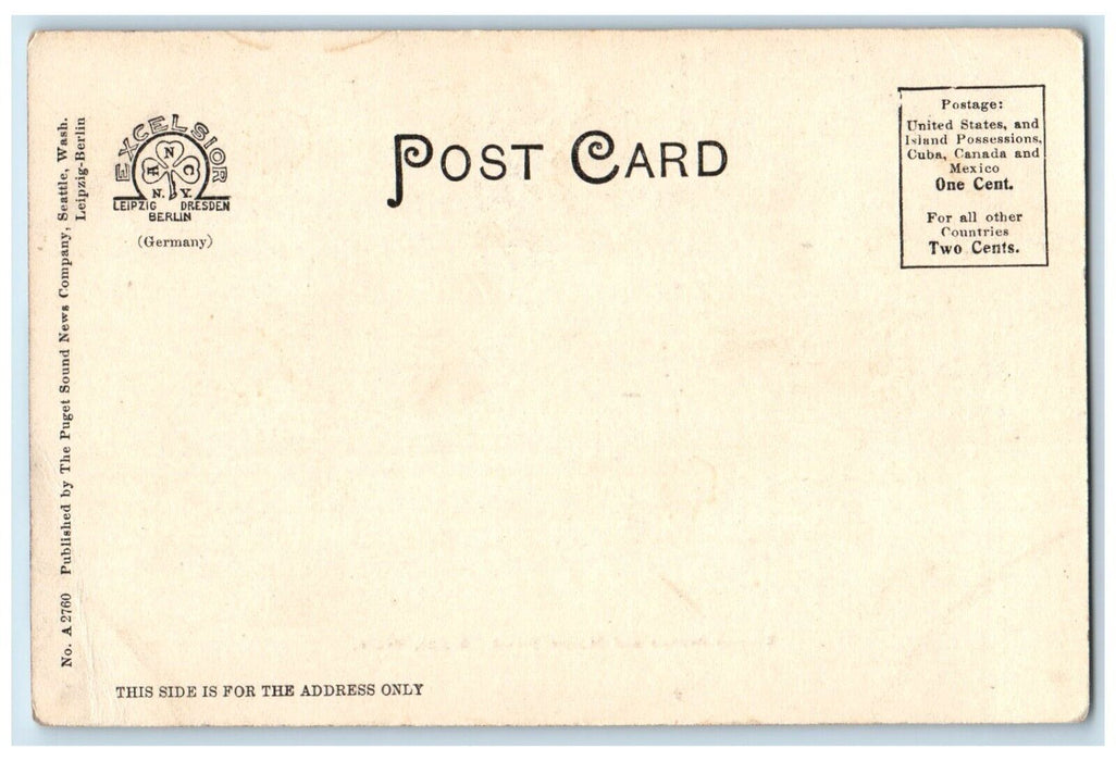 c1905 Summit Avenue Marion Street Seattle Washington WA Vintage Antique Postcard