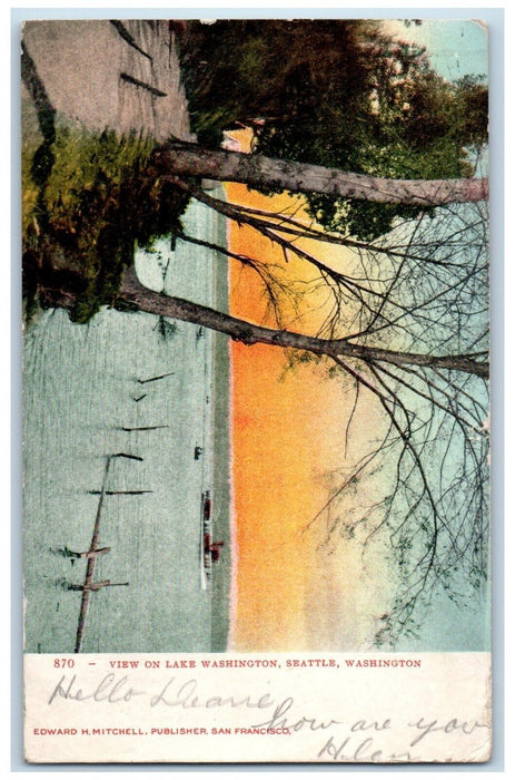 1908 Sunset View Lake Washington Seattle Washington WA Vintage Antique Postcard