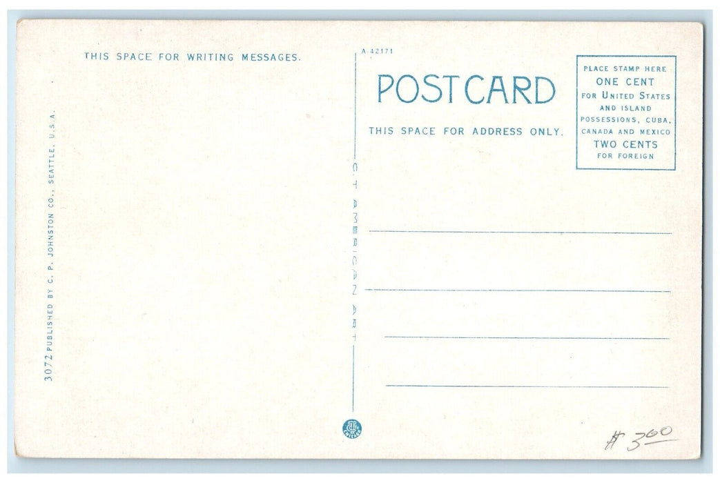 c1920 Frink Boulevard Serpentine Seattle Washington WA Vintage Antique Postcard