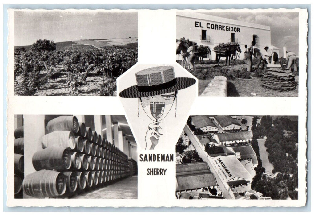 Sandeman Sherry El Corregidor Spain Winery Multiview RPPC Photo Vintage Postcard