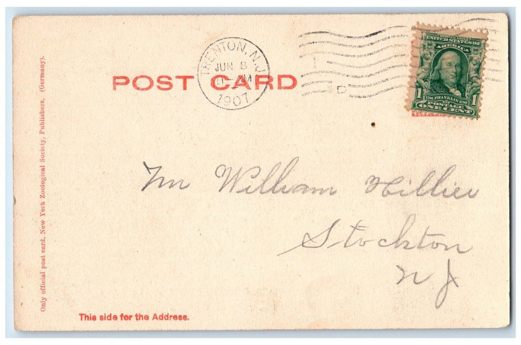 1907 Rocking Stone & Rocking Stone Restaurant New York Zoological Park Postcard