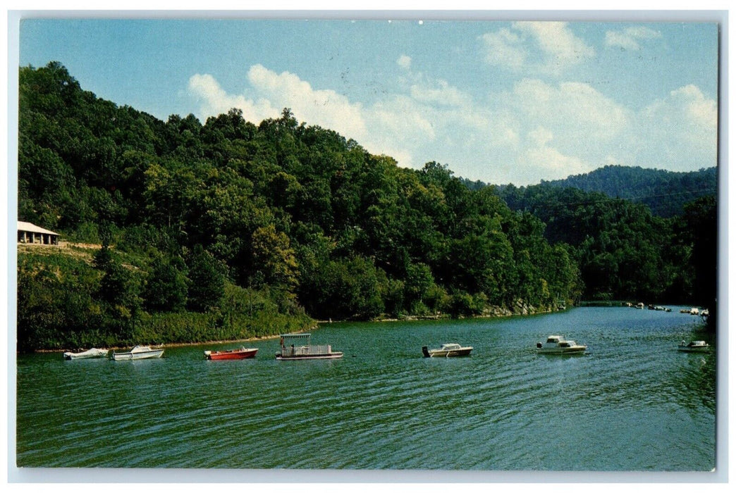 c1960 Boat Anchorage Buckhorn State Park River Lake Buckhorn Kentucky Postcard