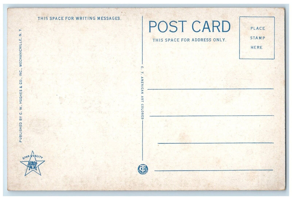 c1920 Steamer Vermont Lake Champlain Cruise Ship River Vintage Antique Postcard