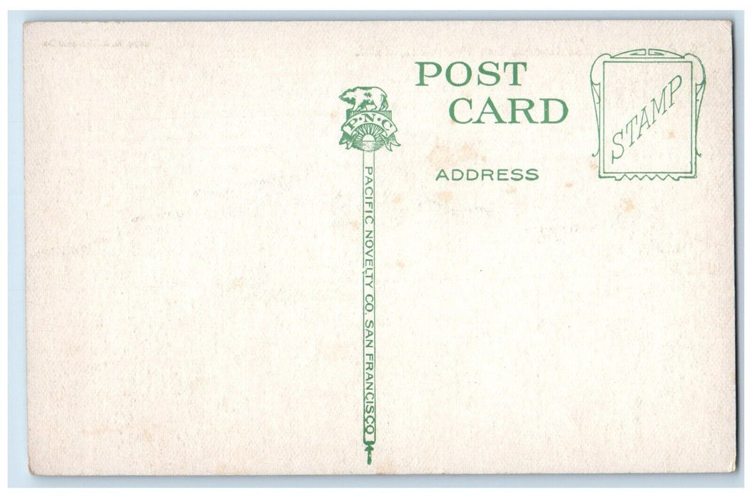 Alcatraz Island San Francisco California CA, Steamer Ship Unposted Postcard