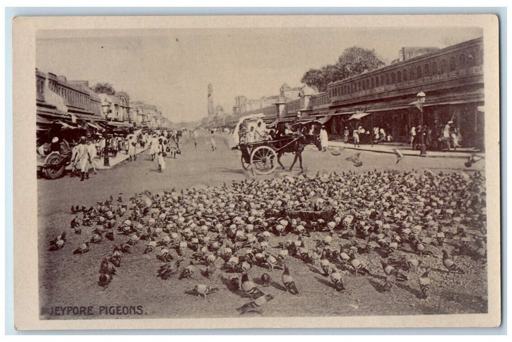 c1920's Market Street Scene Pigeons Jeypore India RPPC Unposted Postcard