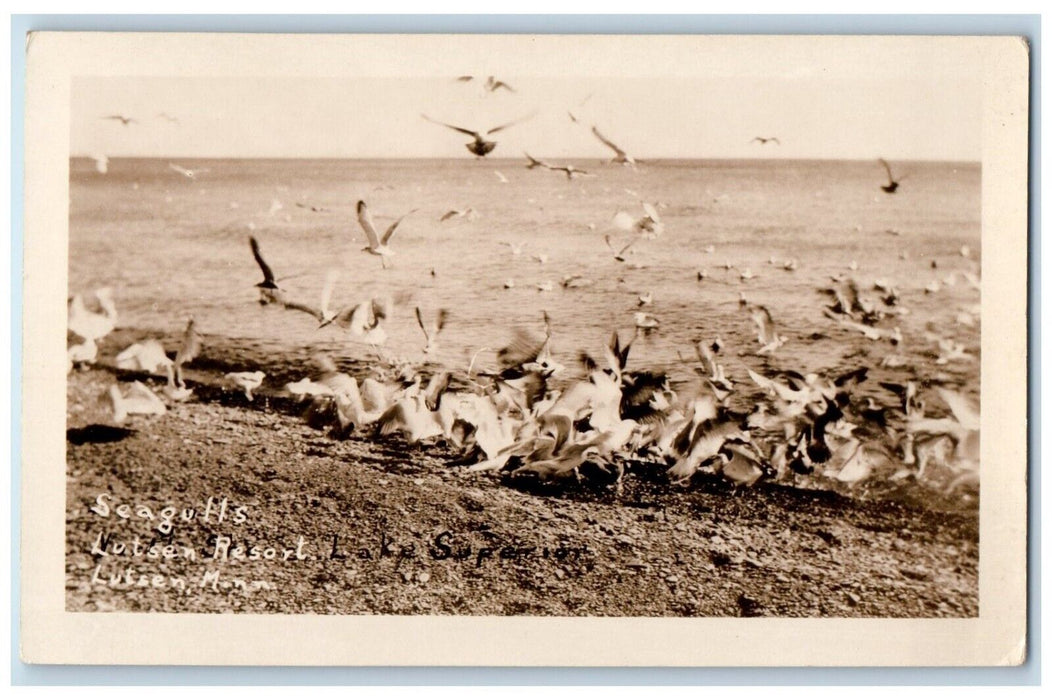 c1910's Seagulls Lutsen Resort Lutsen Minnesota MN Antique RPPC Photo Postcard