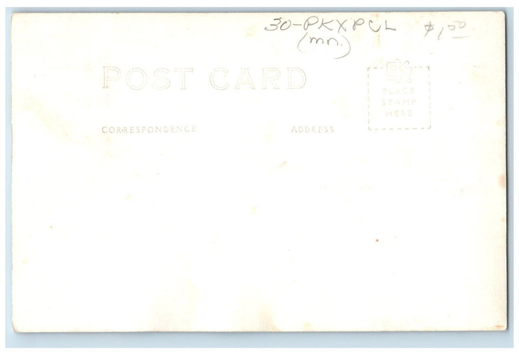 A Trail Through The Pines Itasca State Park Minnesota MN RPPC Photo Postcard