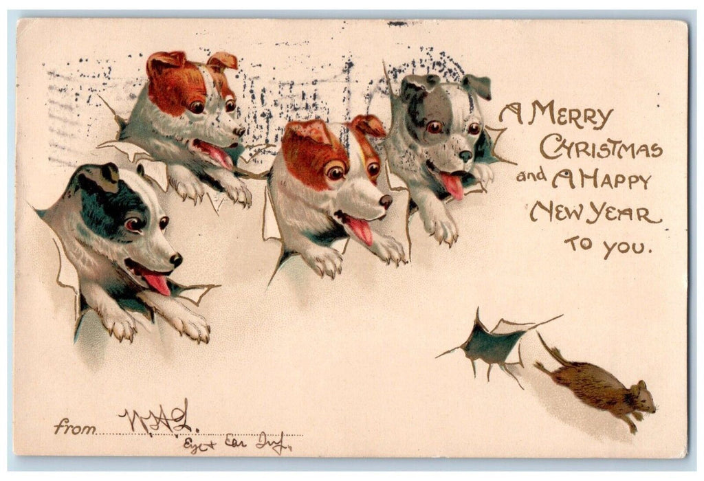 Merry Christmas And New Year Cute Dogs Rat Boston Massachusetts MA Nash Postcard