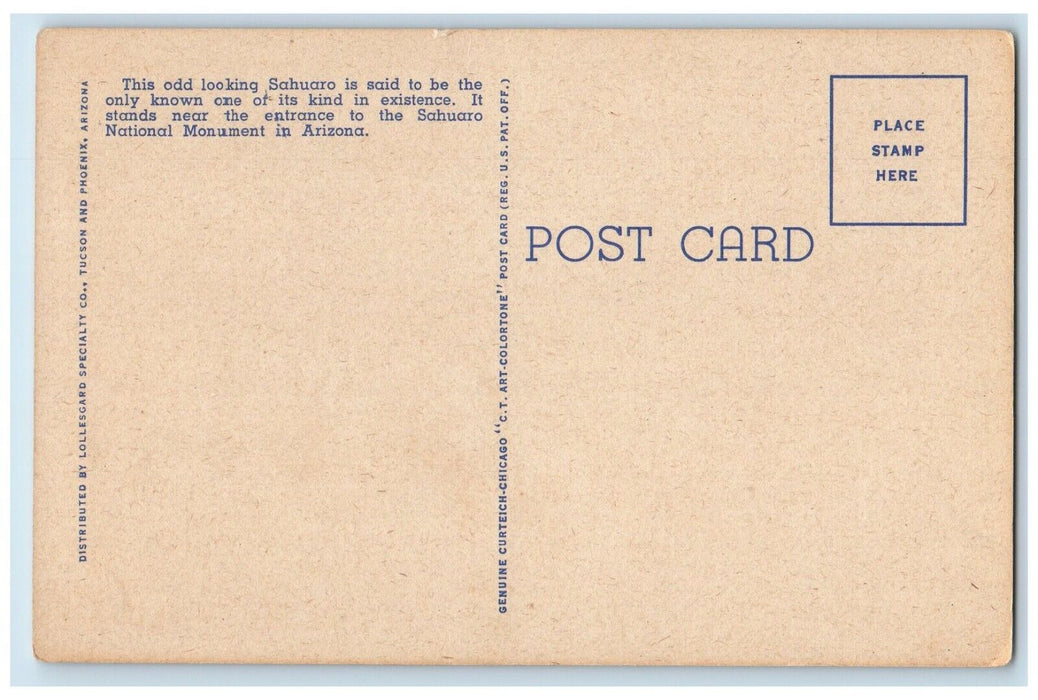1940 Watermelon Tree Freak Sahuaro Giant Cactus Arizona Antique Vintage Postcard
