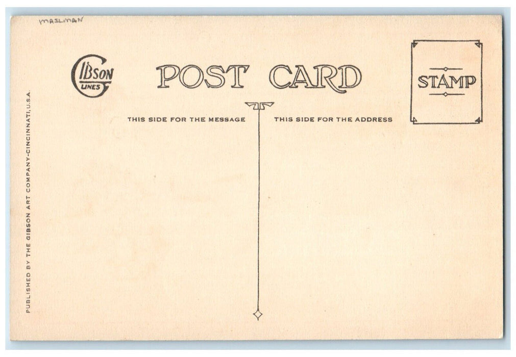 c1910's Valentine Mailman Delivering Flowers Bouquet Hearts Gibson Postcard