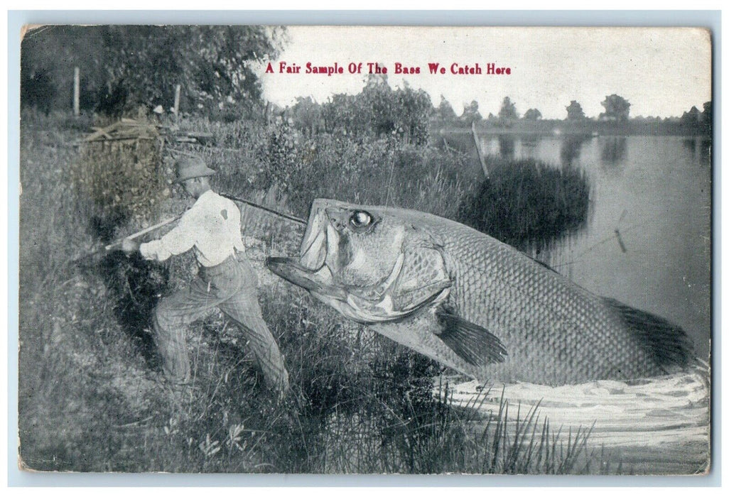 c1910's Man Cached Exaggerated Fish A Fair Sample Of The Bass Unposted Postcard