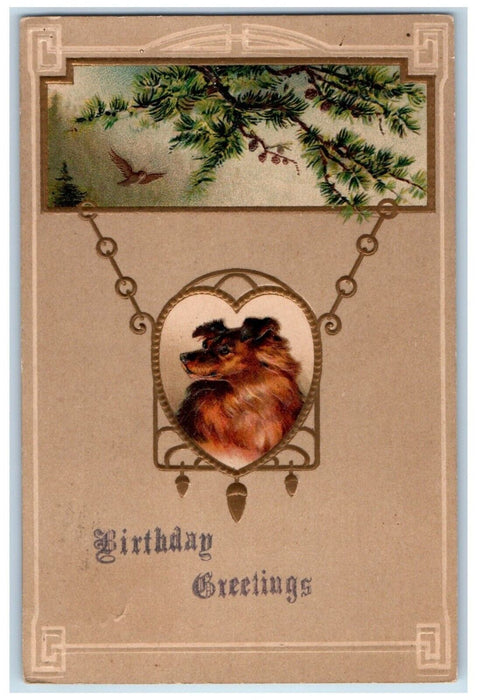 1909 Birthday Greetings Collie Dog Pine Cone Birds Embossed Antique Postcard