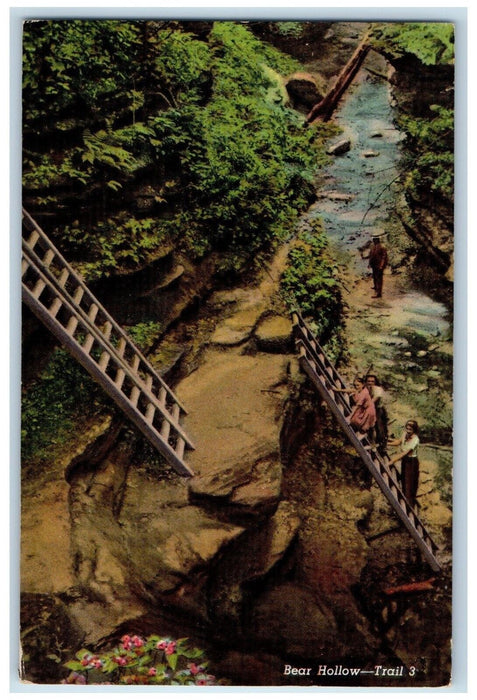 1952 Turkey Run State Park Ladders Bear Hollow Marshall Indiana Vintage Postcard
