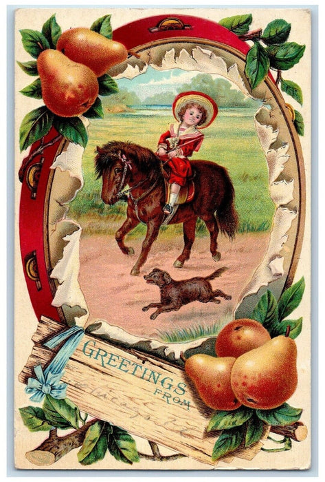 1910 Greetings From Chicago Illinois IL Little Kid Riding Horse Dog Postcard