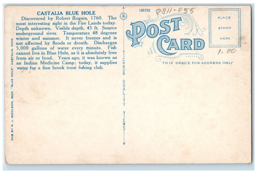 1920 General View Blue Hole Castalia Ohio OH Vintage Antique Unposted Postcard