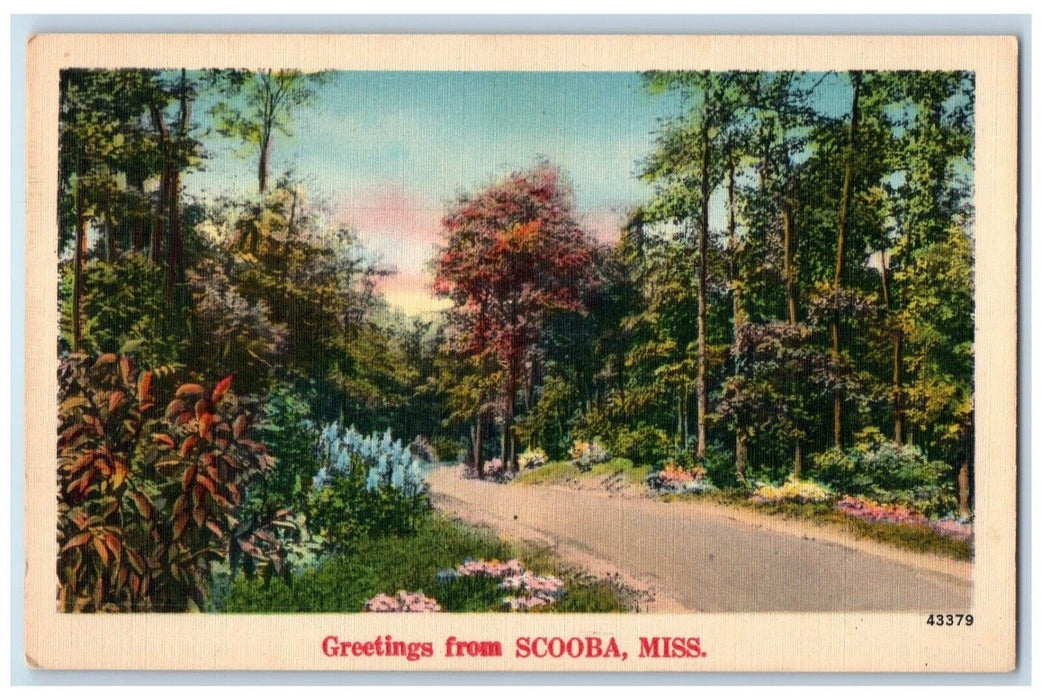 c1940 Greetings From Scooba Mississippi MS Road Street Pathway Vintage Postcard