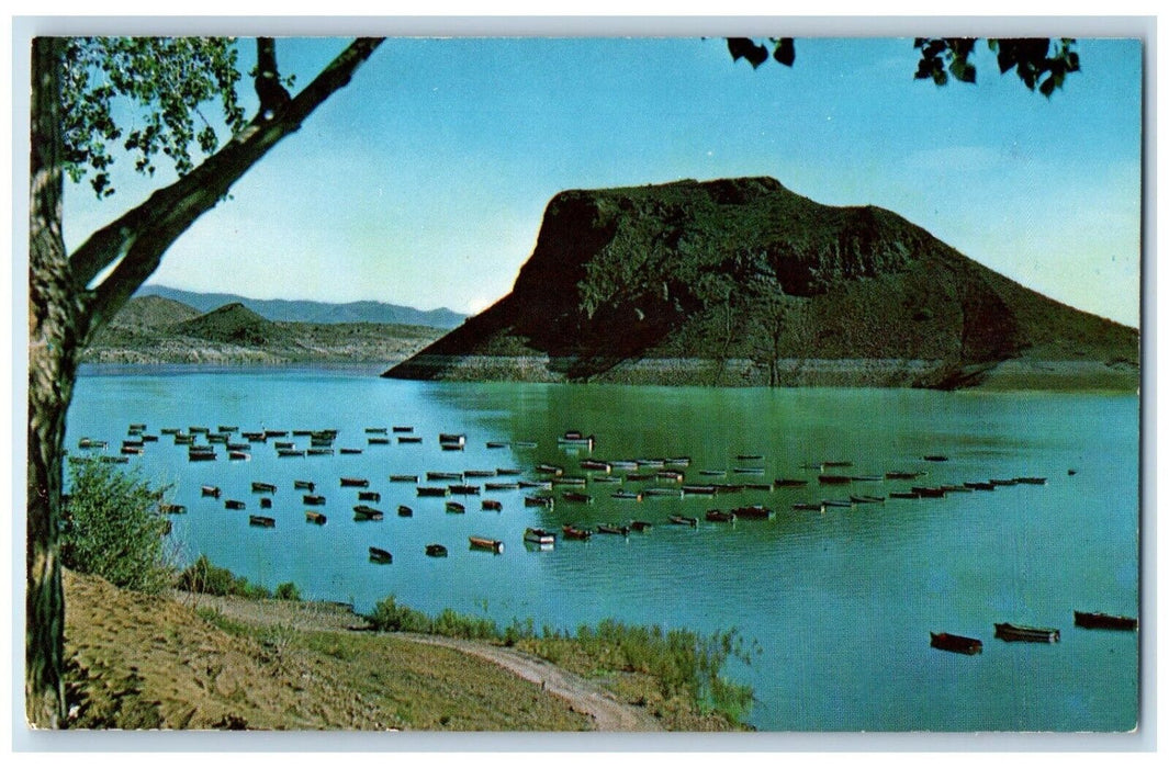 c1960 Scenic View Elephant Butte Lake Truth Consequence New Mexico NM Postcard