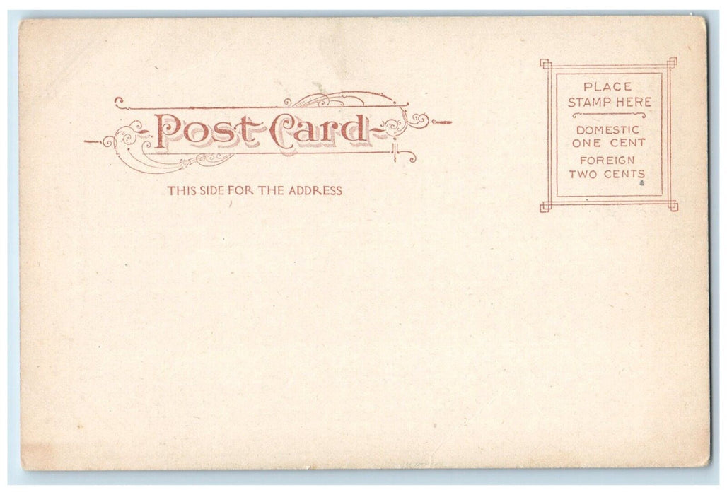 c1905 Amesquam Willows Road Trees Gloucester Massachusetts MA Vintage Postcard