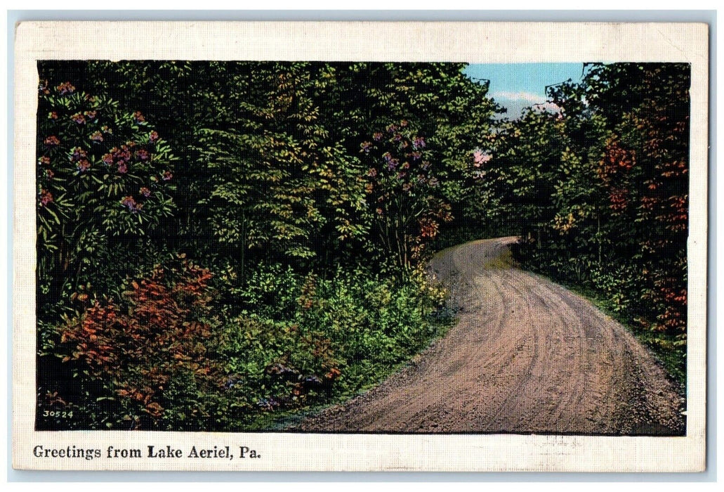 1938 Greetings From Road Trees Lake Aeriel Pennsylvania Vintage Antique Postcard