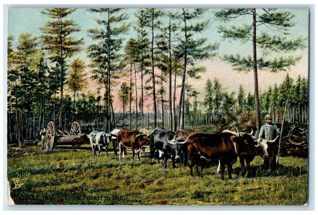 c1910 From Forest To Mill Mobile Ala Lumber Exportation Field Tuck Son Postcard