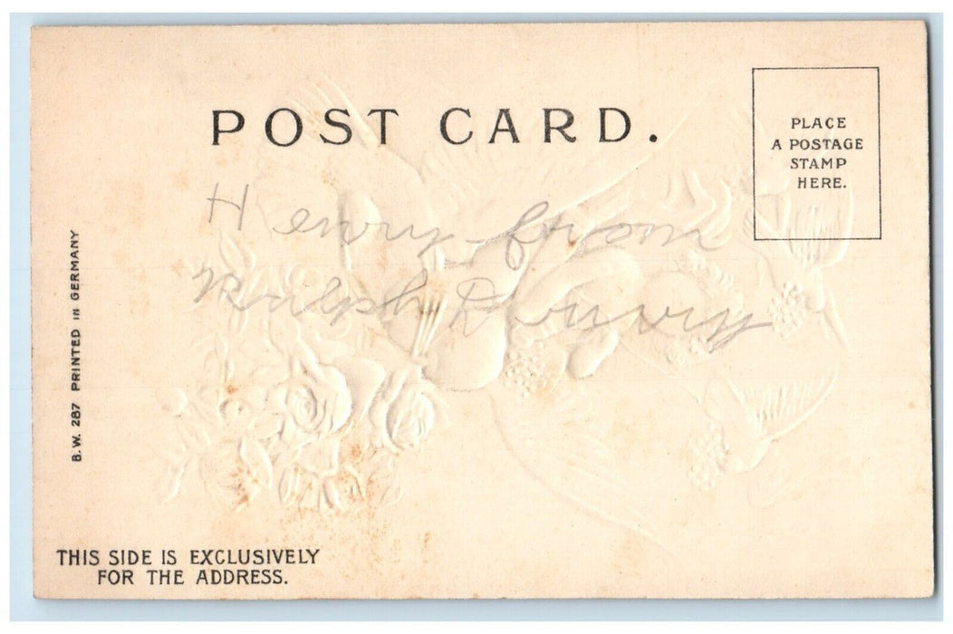 c1905 Valentine Cupid Angel Dove Pansies Roses Flowers Embossed Antique Postcard