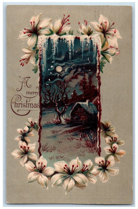 c1910's Merry Christmas House Winter Flowers Embossed Wilmington DE Postcard