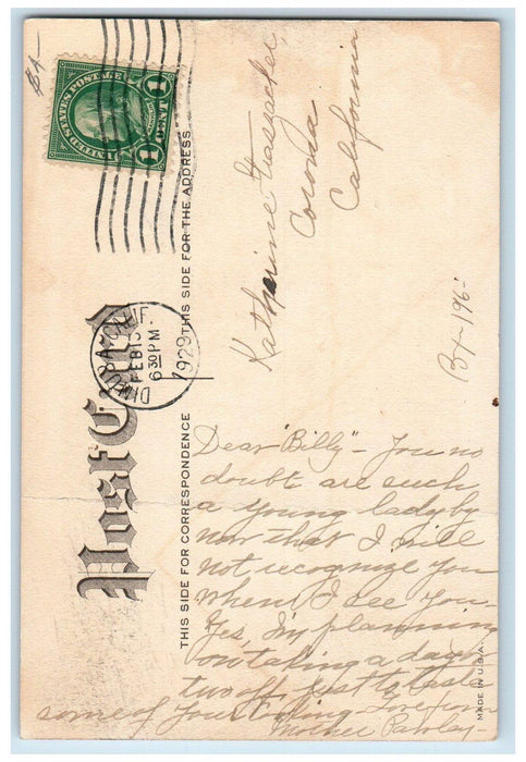 1929 Valentine Children Little Sweetheart Cupid Angel Flowers Dinuba CA Postcard
