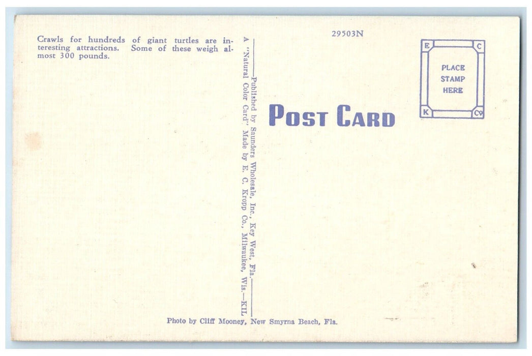 c1940 Turtle Crawls Key Dock Port Shipyard Boat Ship Sea West Florida Postcard