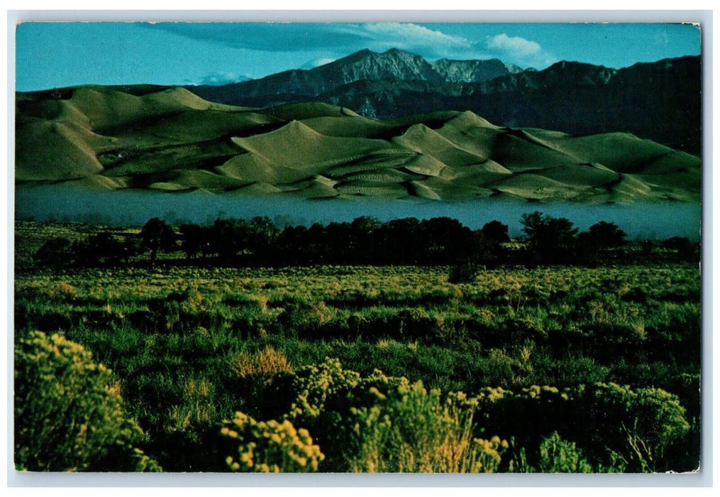 1969 Rabbitbrush Medano Creek Great Sand Dunes Bristol Colorado Antique Postcard