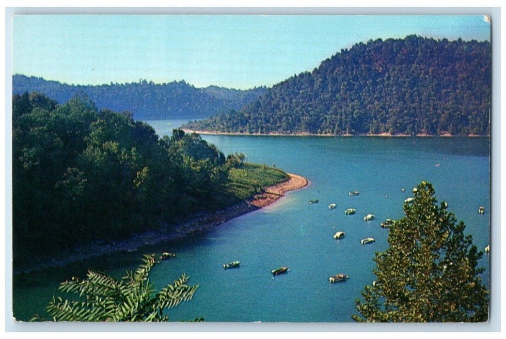 c1960 Aerial View Sligo Dock Center Hill Lake Tennessee Antique Vintage Postcard
