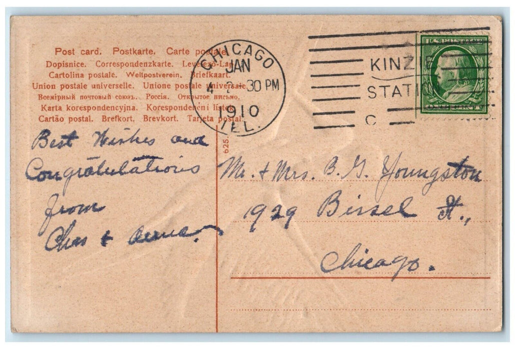 1910 Stork Delivering Baby Embossed Chicago Illinois IL Posted Antique Postcard