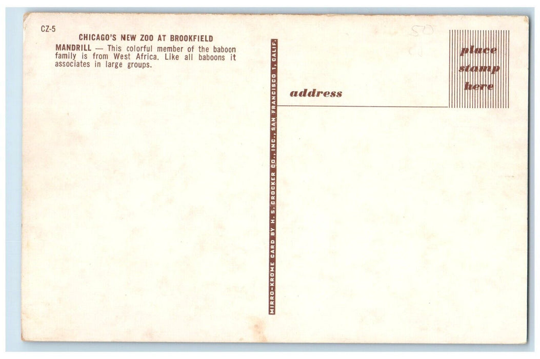 c1960 Mandrill Chicago New Zoo Brookfield Illinois IL Antique Unposted Postcard