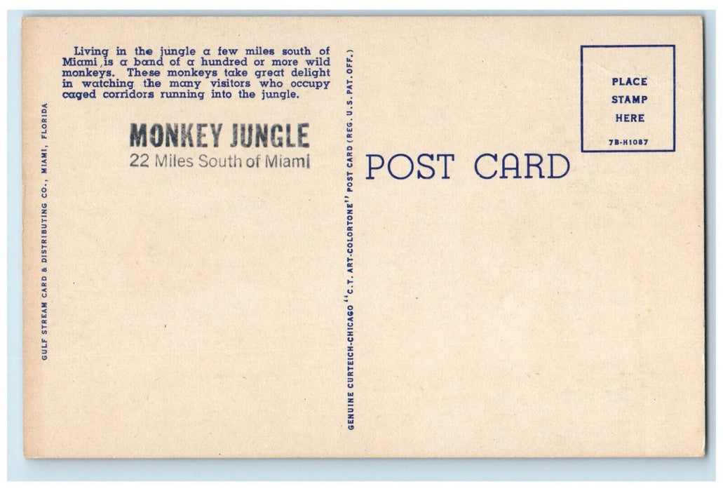 c1940 Human Are Caged Monkeys Run Wild Monkey Jungle Miami Florida FL Postcard