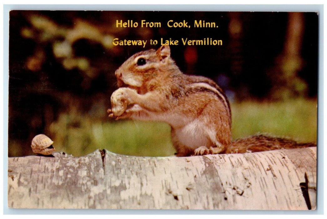 1966 Hello From Cook Minnesota Gateway Lake Vermilion Eating Squirrel Postcard