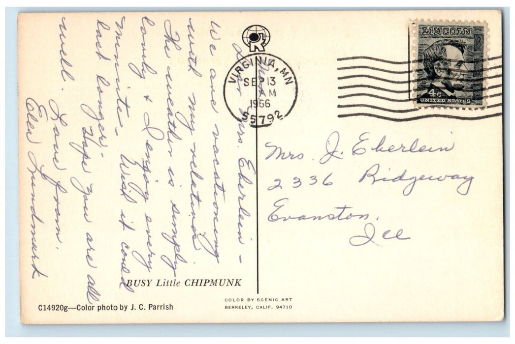 1966 Hello From Cook Minnesota Gateway Lake Vermilion Eating Squirrel Postcard