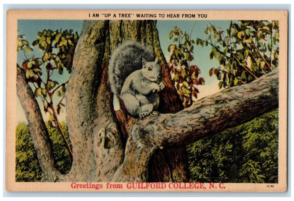 c1940 I am Up A Tree Greetings From Guilford College North Carolina NC Postcard