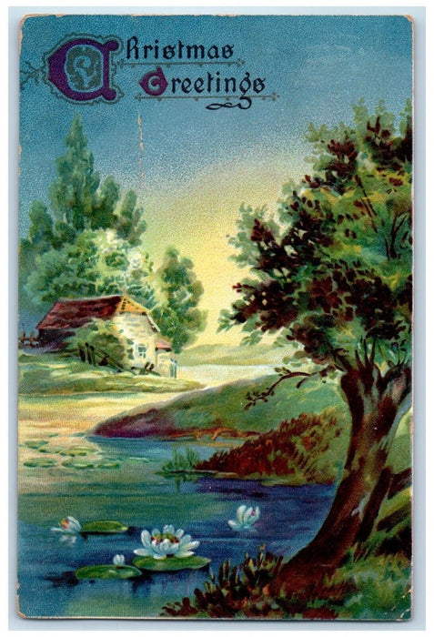 1909 Christmas Greetings Water Lily Flowers House Embossed Tuck's Postcard