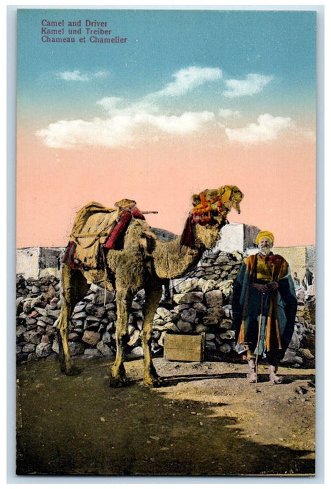 c1910's Camel And Driver Rocks Scene Jerusalem Israel Unposted Antique Postcard