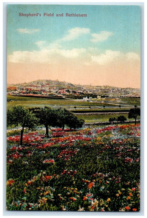 c1910's View Of Shepherd's Field And Bethlehem Israel Posted Antique Postcard