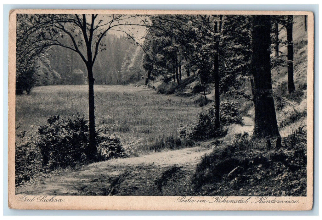 c1920's View of Lot in Kukanstal Kantorniese Bad Sachsa Germany Postcard