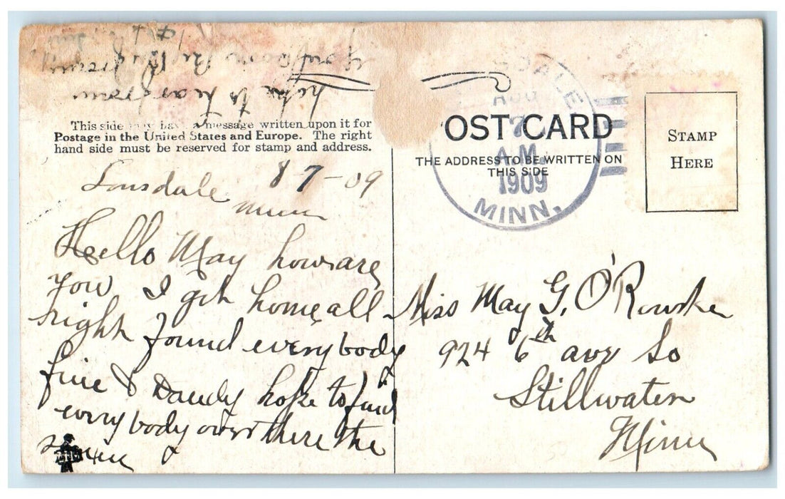 1909 Just Landed Car Collided Tree Stillwater Minnesota MN Antique Postcard