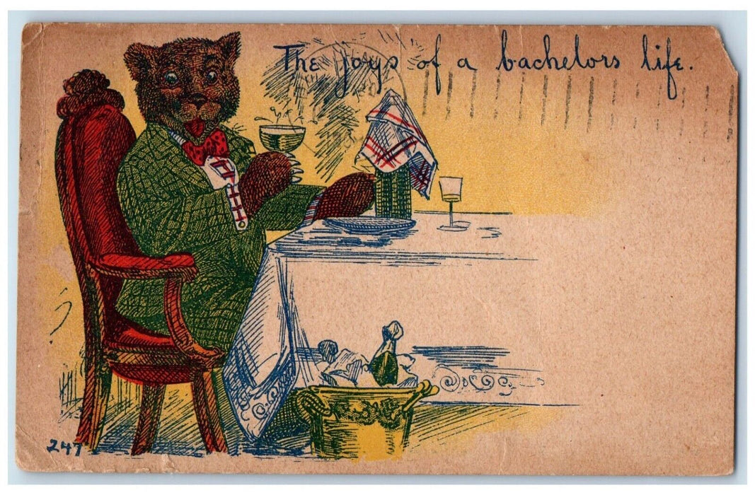 1909 Anthropomorphic Teddy Bear Champagne Errol New Hampshire NH Posted Postcard