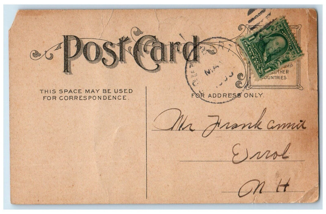 1909 Anthropomorphic Teddy Bear Champagne Errol New Hampshire NH Posted Postcard
